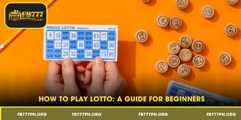 How to Play Lotto: A Guide for Beginners