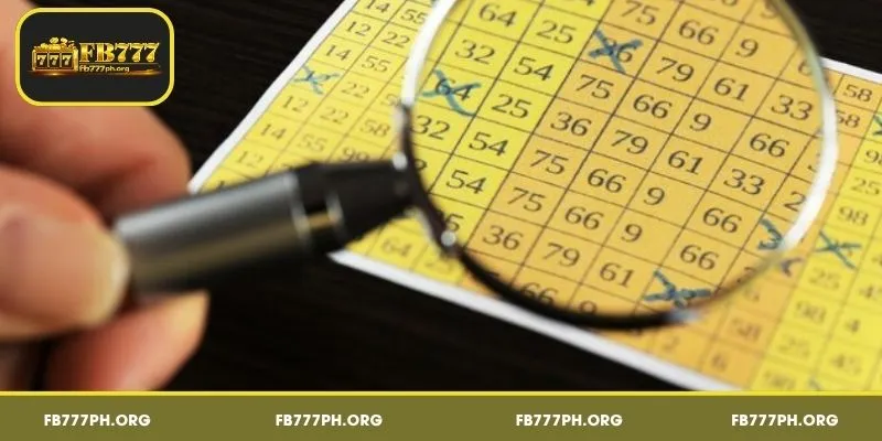 How to Play Lotto the right way