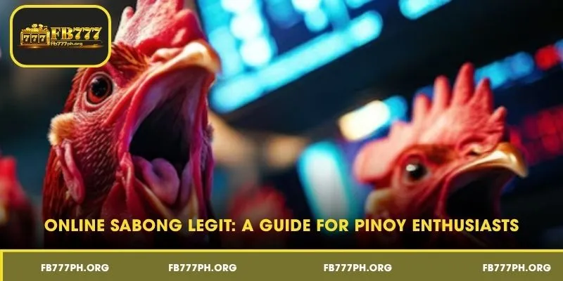 Online Sabong Legit: A Guide for Pinoy Enthusiasts